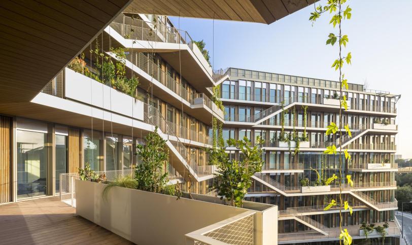 Brun exotique structurée