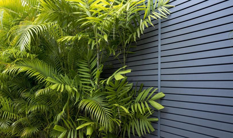 Gris anthracite