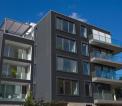 Gris anthracite
